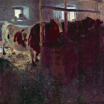 Klimt mucche Cows in Stall