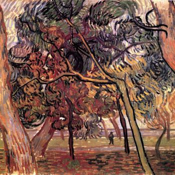 Study of Pine Trees Van Gogh